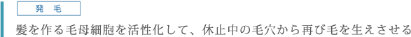 発毛。髪を作る毛母細胞を活性化して、休止中の毛穴から再び毛を生えさせる