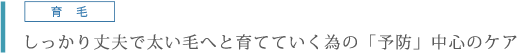 育毛。しっかり丈夫で太い毛へと育てていく為の「予防」中心のケア