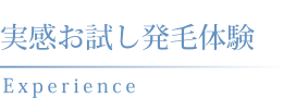 実感お試し発毛体験