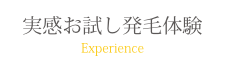 実感お試し発毛体験